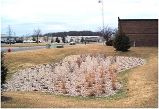 East Biofiltration Basin