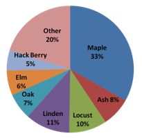Graph showing diversity of Franklin trees