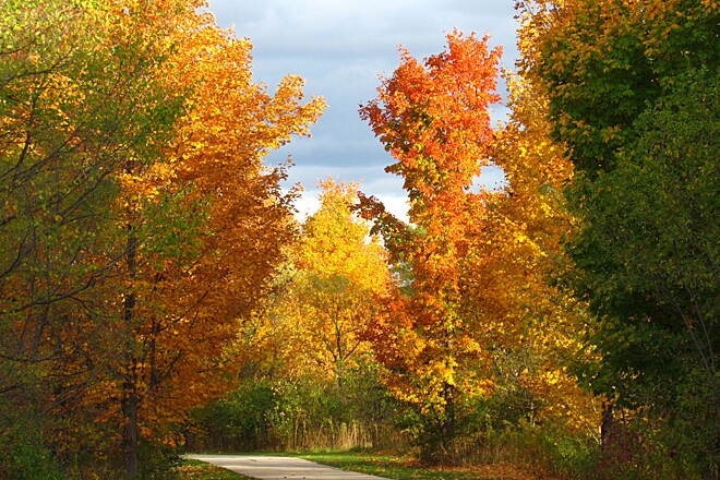 The Oak Leaf Trail in Franklin, Wisconsin, features the southern section of the Root River Line and the Drexel Connector, providing scenic, paved multi-use paths through county parks and riparian corridors.