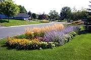 Rain Garden Rain Garden